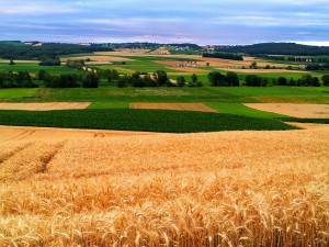 burgenland-490116_1280