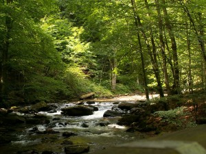 styria-182634_1280