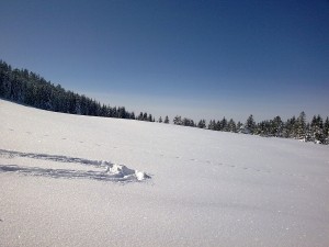 vorarlberg-640551_1280